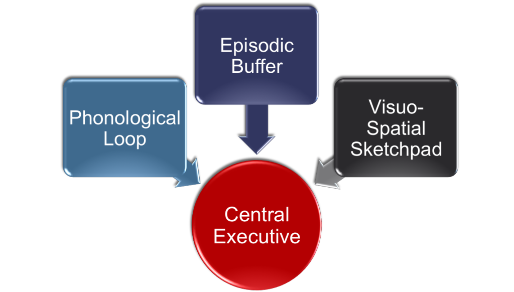 WorkingMemory-Fig2